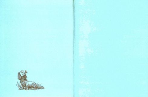 Делаэ, Жильбер. Маруся на каникулах: На даче. В зоопарке (обл. и ил. Марлье, Марсель). Сер. Приключения Маруси. М., АСТ, 2013